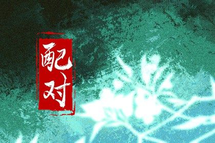 分数不高时的相处策略