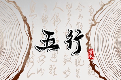 数字化五行参考用法